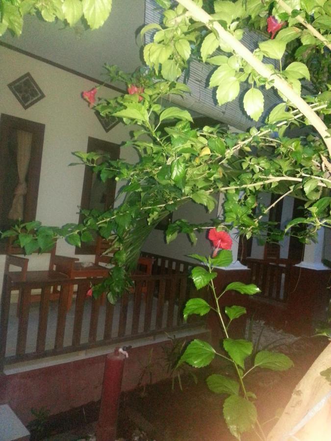 Family Bungalow Gili Meno Ngoại thất bức ảnh